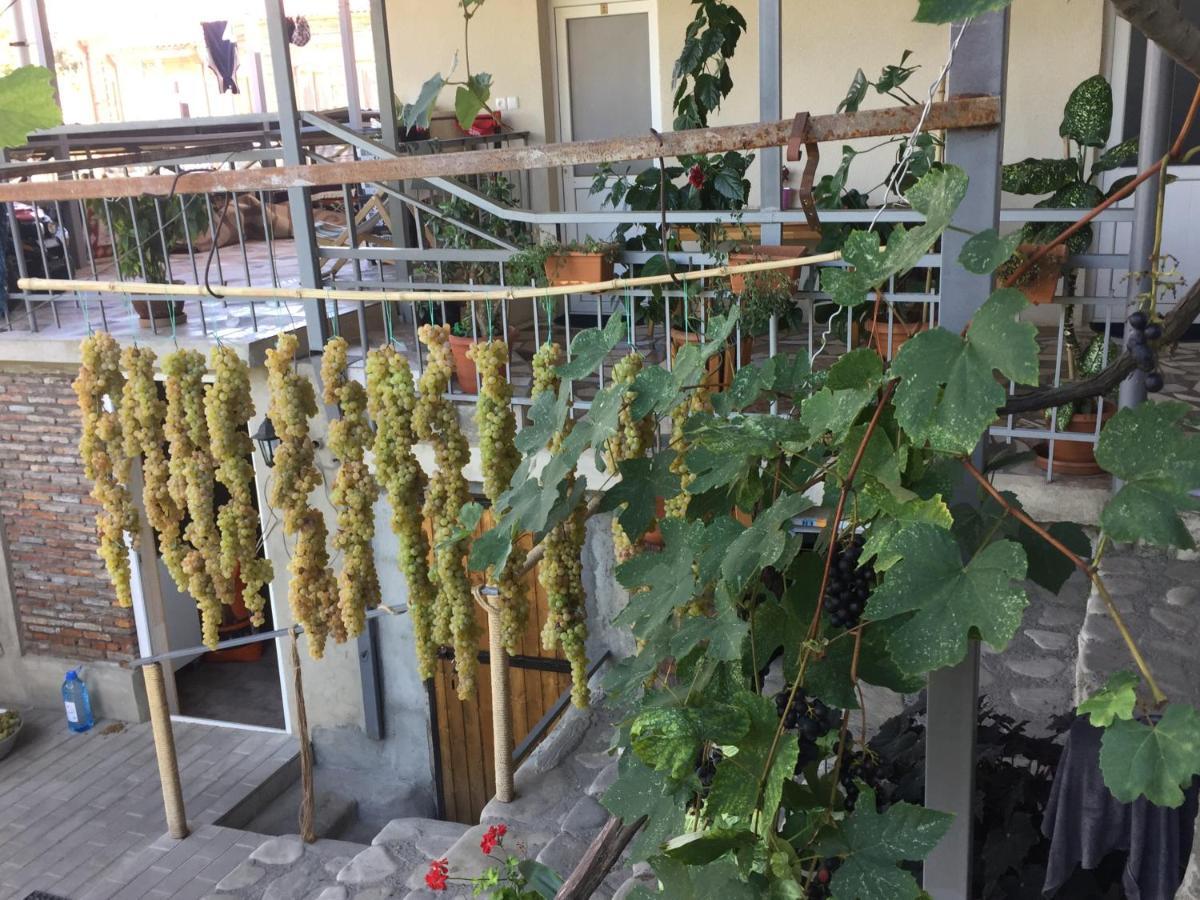Guest House Loza 西格纳吉 外观 照片